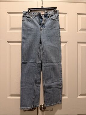 Everlane Light Blue Women's Straight-Leg Jeans